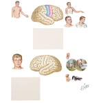 Parital Seizures