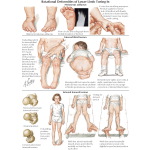 Labeled image