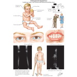 Labeled image