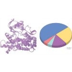 Cytochrome P-450 (CYP450)
