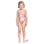 Hemorrhagic Problems In Infants and Children