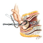 Rotation and Delivery