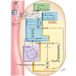 Labeled image