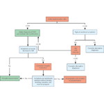 Evaluation of Suspected Peripheral Arterial Disease