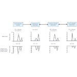 Echo-Doppler Criteria for Assessment of Diastolic Function