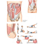 Stabilization Exercises for Low Back Pain