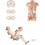 Guided Exercises for Low Back Pain Using Equipment
