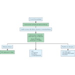 Treatment Paradigm for Polymyositis and Dermatomyositis