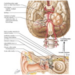 Runge IM 2E image