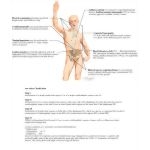 Runge IM 2E image