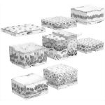 Epithelial Tissues