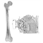 Bone Structure and Classification