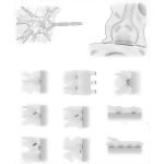 Types of Synapses
