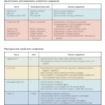Cranial Nerve Neuron Components