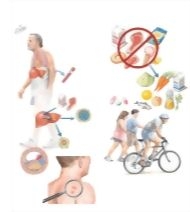 Managing Your High Cholesterol