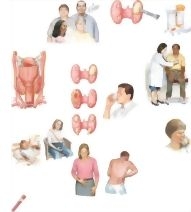 Managing Your Hyperparathyroidism