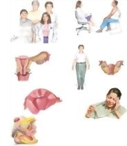 Managing Your Endometrial Cancer