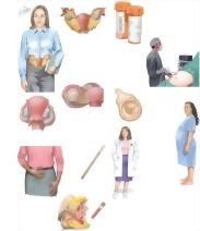 Managing Your Pelvic Inflammatory Disease