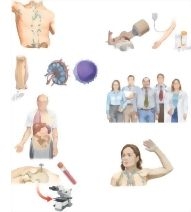 Managing Your Non-Hodgkin's Lymphoma
