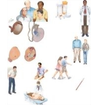 Unlabeled image