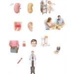 Managing Your Glomerulonephritis