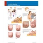 Ferri Spanish image