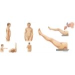 Range of Motion
