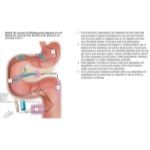 Mulroney Flash Cards image