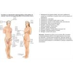 Mulroney Flash Cards image