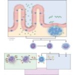 Intestinal Disturbances Resulting From Food Allergy