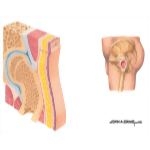 Methods of Wound Closure