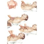 Placement of Hands