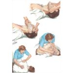 Supplemental Methods for Airway