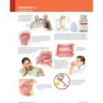 Ferri Spanish image