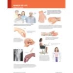 Ferri Spanish image