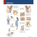 Ferri Spanish image