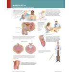 Ferri Spanish image