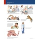 Ferri Spanish image