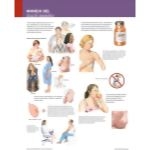 Ferri Spanish image