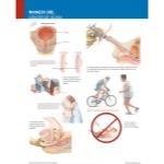 Ferri Spanish image