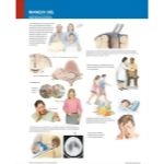 Ferri Spanish image