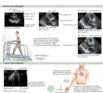 Runge Cardiology 2E image