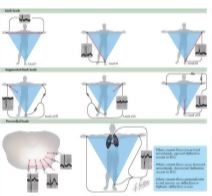 Runge Cardiology 2E image