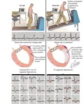 Runge Cardiology 2E image