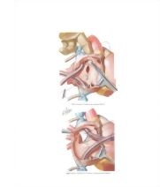 Runge Cardiology 2E image