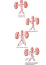 Runge Cardiology 2E image