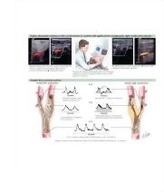 Runge Cardiology 2E image