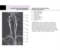 Felten Flash Cards 2E image