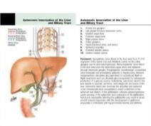 Felten Flash Cards 2E image
