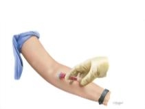 Collecting Blood Sample